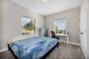 3 rd Carpeted bedroom with multiple windows and a closet