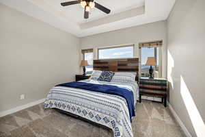 Master Bdrm Carpeted bedroom featuring a ceiling fan and a tray ceiling