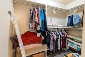 Spacious closet featuring carpet