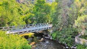 Bridge to Wildwood