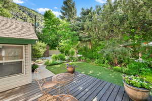 Large front porch with view of garden.  Artificial "chipping" turf - easy care.