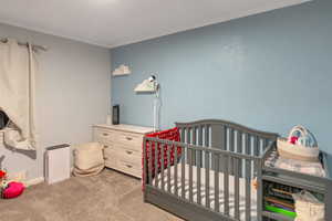 Bedroom featuring carpet floors and a nursery area