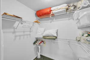 Walk in closet featuring carpet