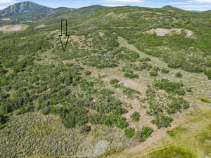 View of mountain background