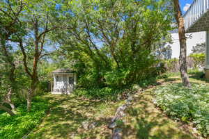 View of yard/Shed