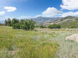 View of mountain background
