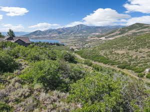 View from the back of the property.