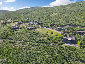 Aerial view of residential area featuring a mountain backdrop and a heavily wooded area