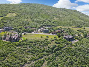 View of mountain background featuring a forest