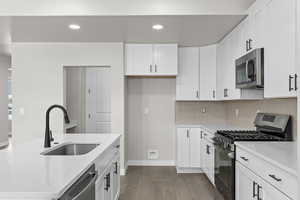Kitchen featuring appliances with stainless steel finishes, wood finished floors, tasteful backsplash, light countertops, and recessed lighting