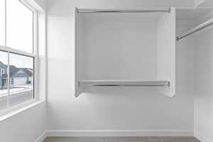 Walk in closet with carpet