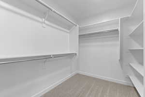 Spacious closet with carpet flooring