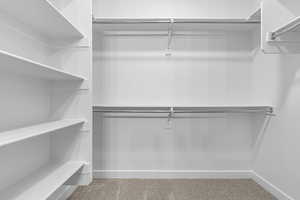 Spacious closet featuring carpet floors