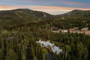 View of mountain background with a heavily wooded area