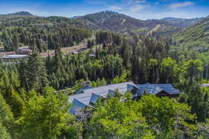 Bird's eye view of a heavily wooded area and mountains