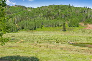 View of yard with a view of trees