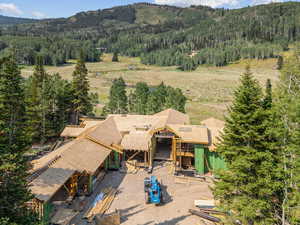 View from above of property with a heavily wooded area and a mountain backdrop