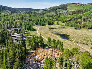 Bird's eye view of a heavily wooded area and a large body of water