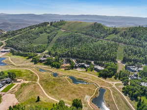 Aerial overview of property's location with a water and mountain view and a forest