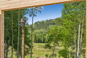 Mountain view with a forest