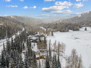 View of mountain backdrop featuring a heavily wooded area