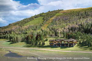 View of mountain backdrop featuring a forest