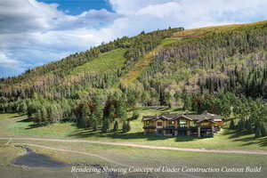 View of mountain backdrop with a forest
