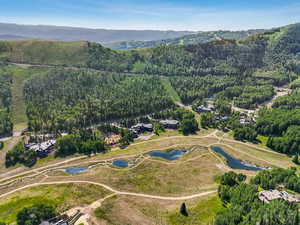 Aerial view of property's location featuring a water and mountain view and a heavily wooded area