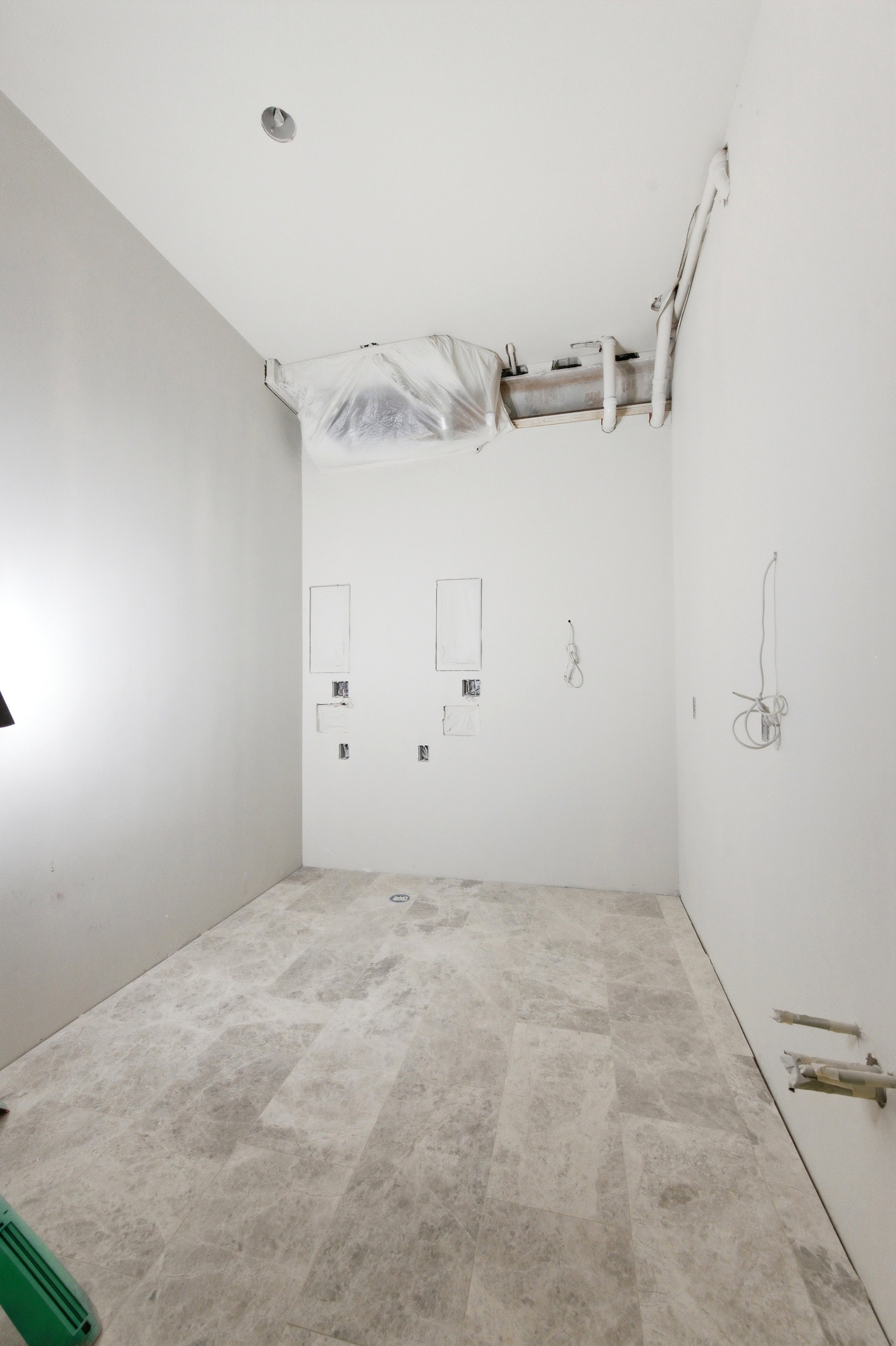 Laundry room with light carpet