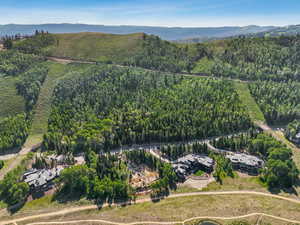 Aerial view of property and surrounding area featuring a heavily wooded area and a mountainous background