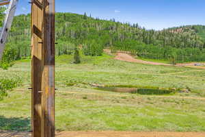 View of yard featuring a wooded view and a view of countryside