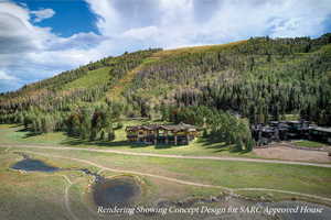 View of mountain background with a heavily wooded area