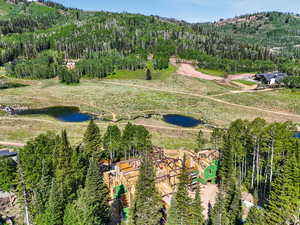 Bird's eye view of a nearby body of water
