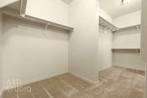Walk in closet featuring carpet