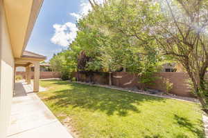 View of fenced backyard