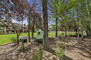 Surrounding community