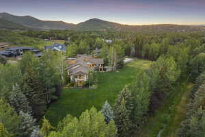 Aerial view at dusk of a mountain view and a forest view