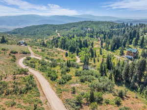 Aerial view of a mountainous background and a forest