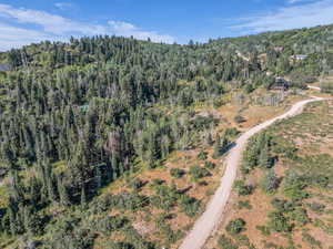 Aerial view of property's location with a forest