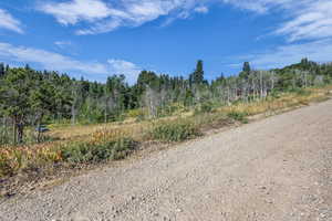 View of dirt / gravel road with a view of trees