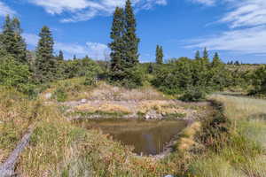 View of local wilderness featuring a nearby body of water