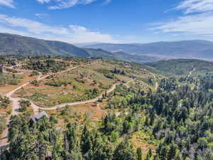 Mountain view with a forest