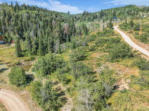 Aerial overview of property's location with a forest