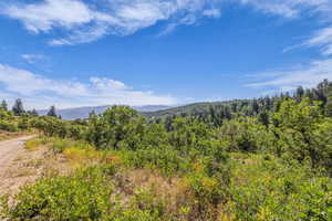 View of mountain background with a forest