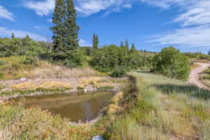 View of nature with a large body of water