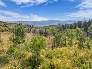Mountain view with a forest