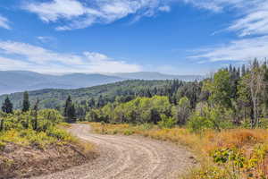 View of mountain backdrop featuring a heavily wooded area