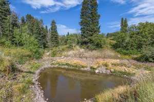 View of local wilderness with a nearby body of water