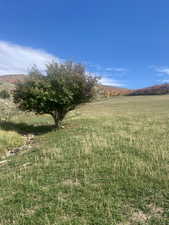 View of yard featuring a view of countryside