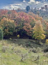 View of mountain background featuring a heavily wooded area